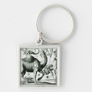 Porte-clés Étude des animaux et des fleurs, gravée
