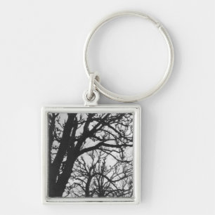 Porte-clés Europe, France, Paris. Arbres d'hiver, Marco