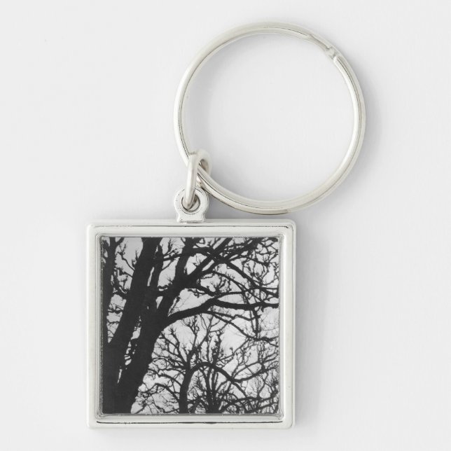 Porte-clés Europe, France, Paris. Les arbres d'hiver, Marco (Devant)