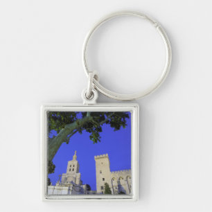 Porte-clés Europe, France, Provence, Vaucluse, Avignon.