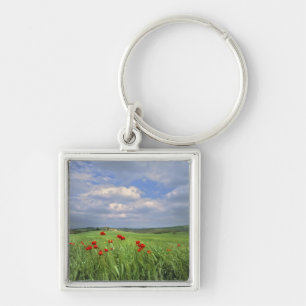 Porte-clés Europe, Toscane, Poggiolo. Coquelicots rouges ondu