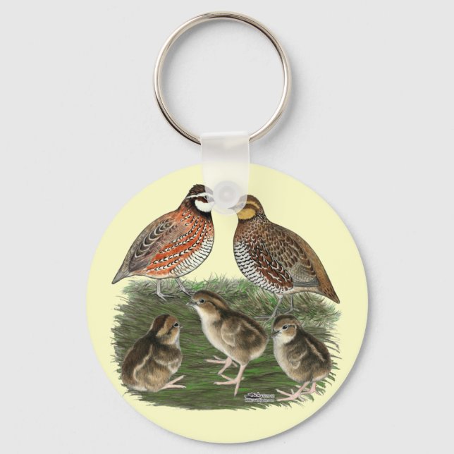 Porte-clés Famille Bobwhite Quail (Recto)