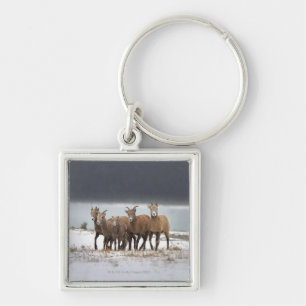 Porte-clés Famille de moutons de montagne