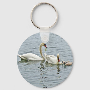 Porte-clés Famille Mute Swan