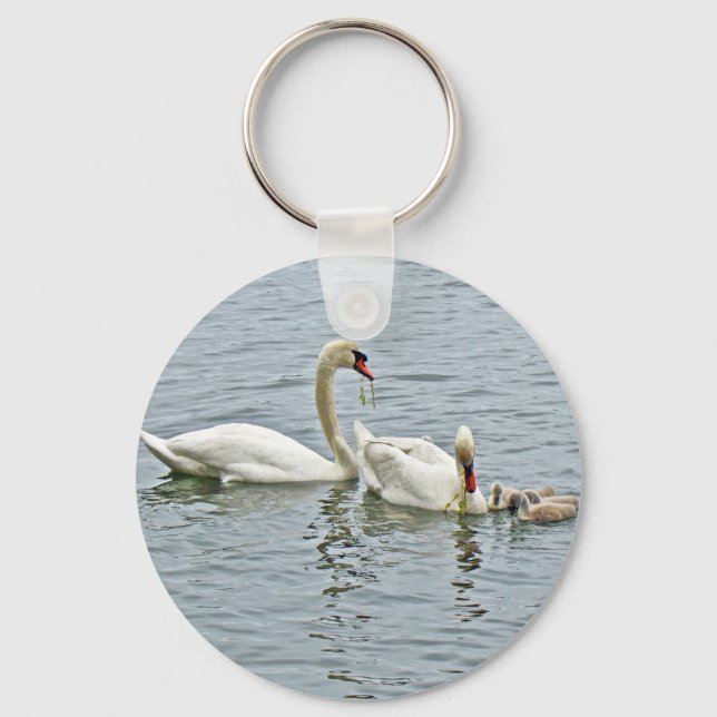 Porte-clés Famille Mute Swan (Recto)