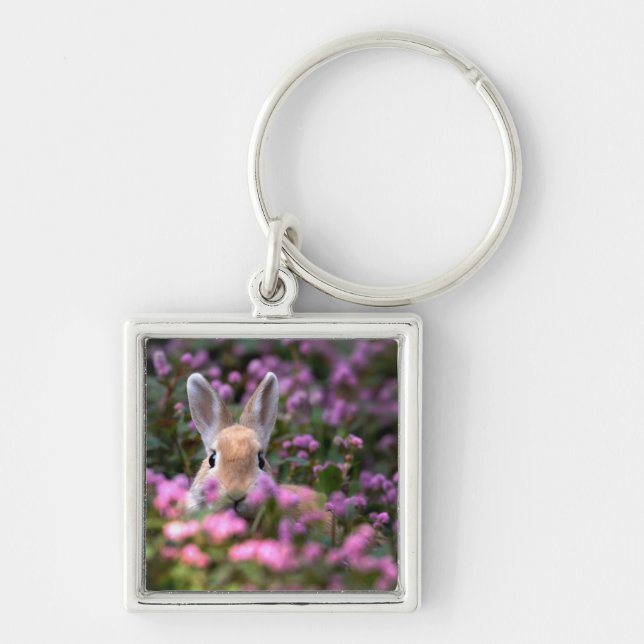 Porte-clés Ferme de lapins (Devant)