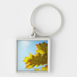 Porte-clés Fermez-vous du feuille jaune d'automne