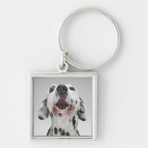 Porte-clés Fermez-vous d'un chien dalmatien