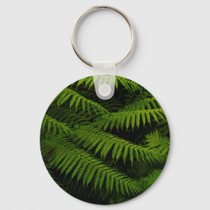 Porte-clés Ferns - Photographie d'Art