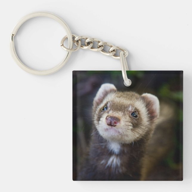 Porte-clés Ferret (Devant)