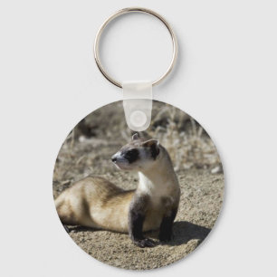 Porte-clés Ferret à pied noir (captif)
