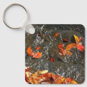 Porte-clés Feuilles d'automne dans la cascade I Photographie 