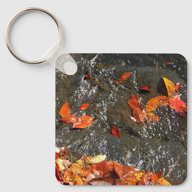 Porte-clés Feuilles d'automne dans la cascade I Photographie  (Recto)