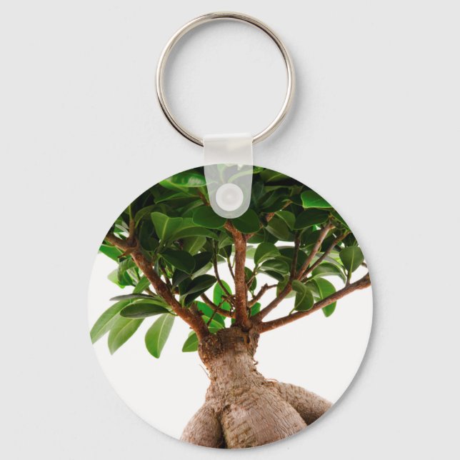 Porte-clés Ficus Ginseng (Recto)