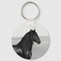 Fière Friesienne cheval d'étalon noir