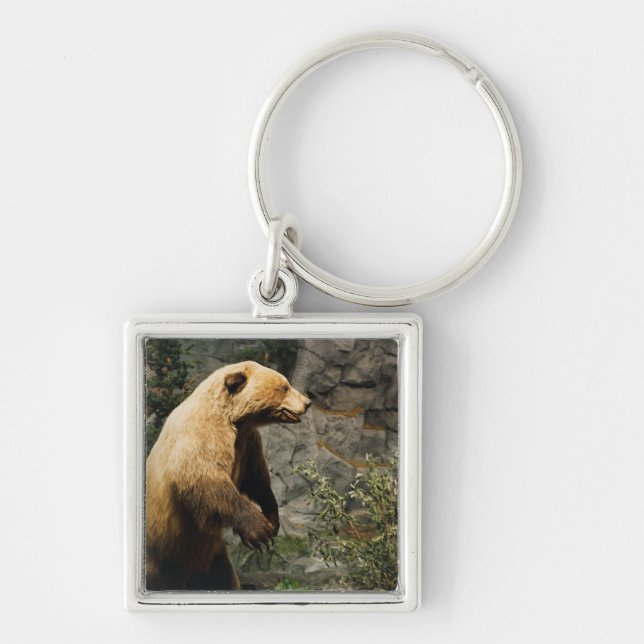 Porte-clés Fière Ours (Devant)
