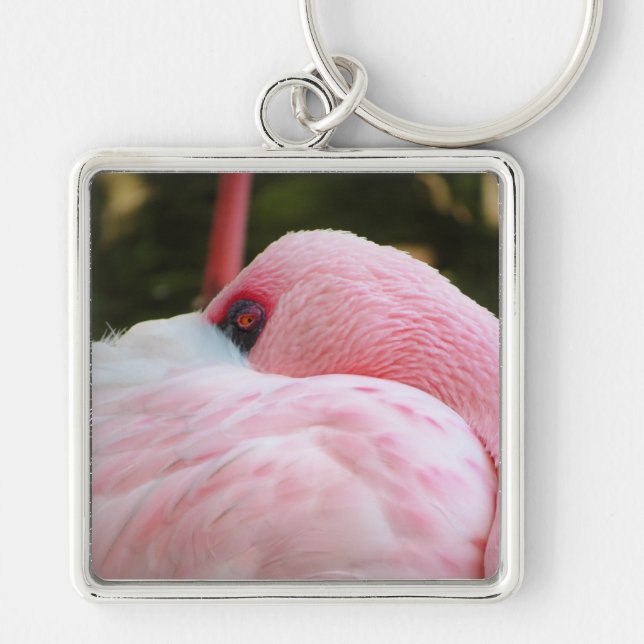 Porte-clés Flamant rose (Devant)