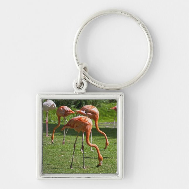 Porte-clés Flamants roses (Devant)