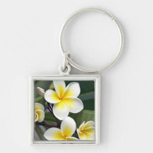 Porte-clés Fleur de frangipanier Îles Cook