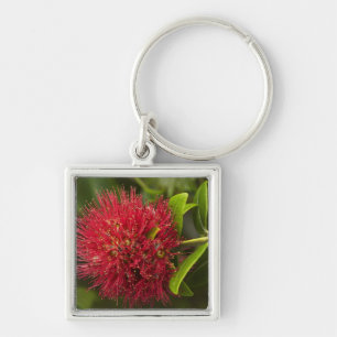 Porte-clés Fleur de Pohutukawa, Dunedin