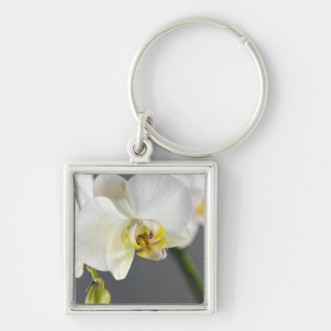 Porte-clés Fleur d'Orchidée Blanche (Devant)