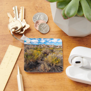 Porte-clés Fleurs   Blooming Sagebrush Californie