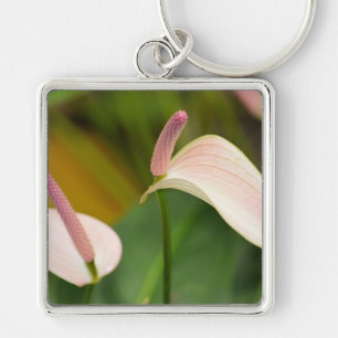 Porte-clés Fleurs d'anthurium rose Kauai Hawaii
