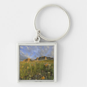 Porte-clés Fleurs sauvages de la prairie dans la vallée de Ma