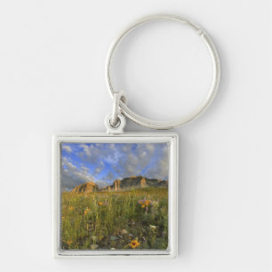 Porte-clés Fleurs sauvages des Prairies au ruisseau Windy dan
