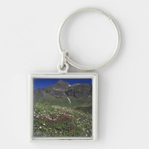 Porte-clés Fleurs sauvages, en fleurs, Alpes, Suisse