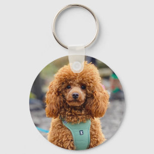 Porte-clés Fluffy Brown Poodle Chien chiot