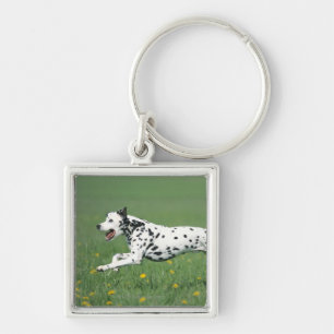 Porte-clés Fonctionnement dalmatien