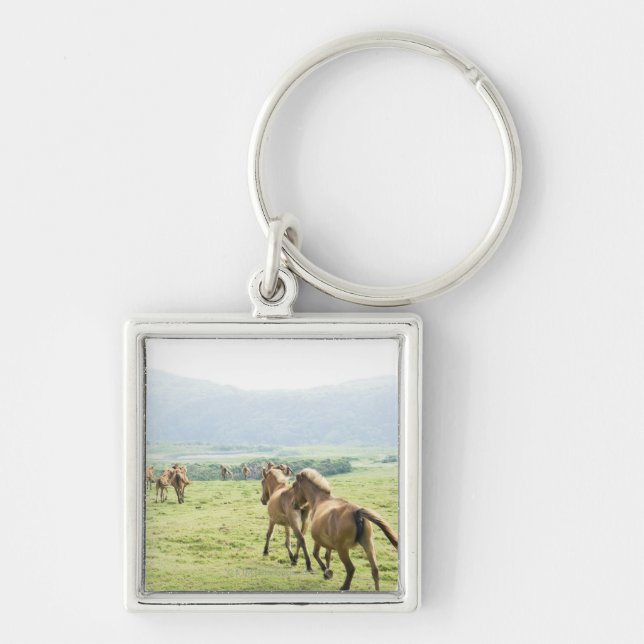 Porte-clés Fonctionnement de chevaux (Devant)