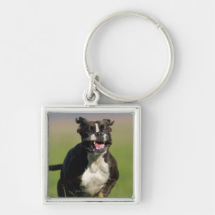 Porte-clés Fonctionnement de chien