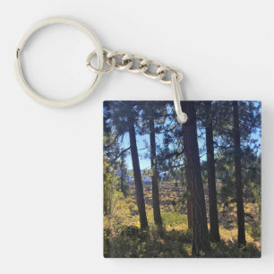 Porte-clés Forêt de lave, Oregon