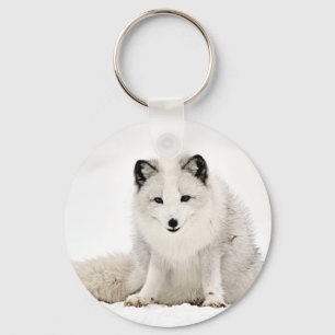 Porte-clés Fox arctique dans la neige