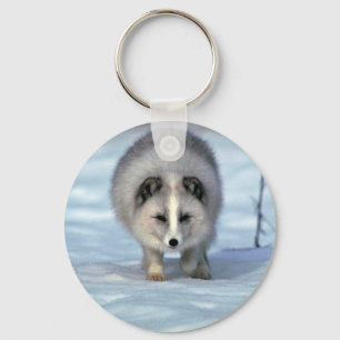 Porte-clés Fox arctique sur la neige