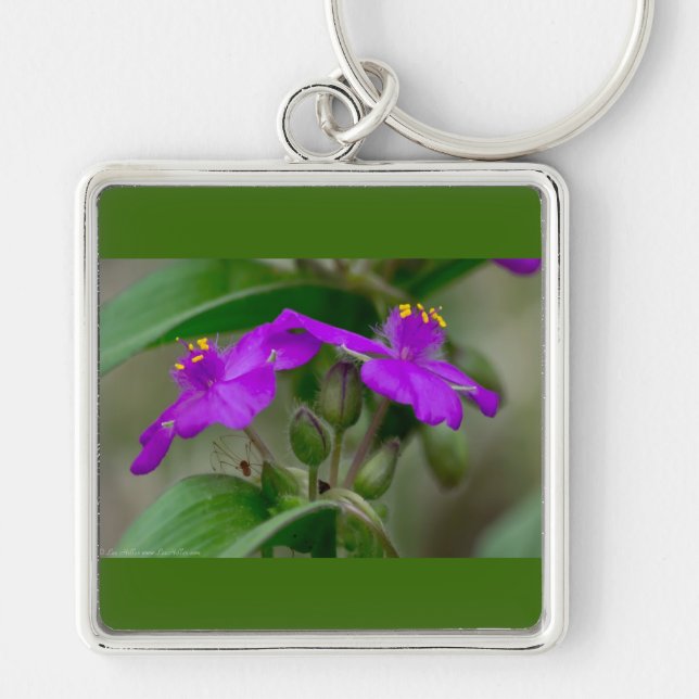 Porte-clés Fuchsia Spiderwort Twins Fleur sauvage Cadeaux Vêt (Devant)