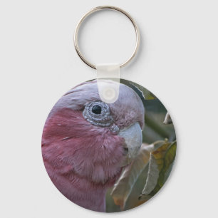 Porte-clés Galah ou Cacatoès à tête rose