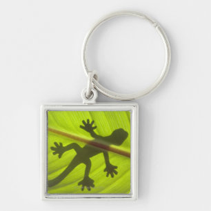 Porte-clés Gecko