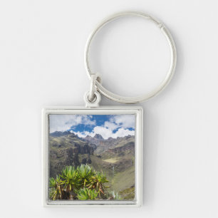 Porte-clés Giant Groundsel ou Dendrosenecio