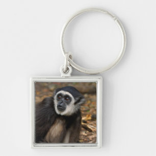 Porte-clés Gibbon à mains blanches (Hylobates Lar), Monkeylan