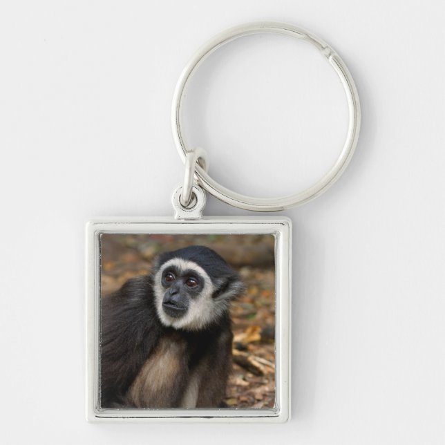 Porte-clés Gibbon (Hylobates Lar) à poitrine blanche, singe (Devant)