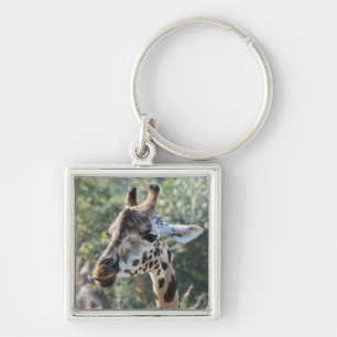 Porte-clés Girafe