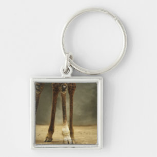 Porte-clés Girafe de masai, vue d'angle faible des jambes,