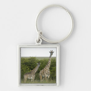 Porte-clés Girafes au Kenya, Afrique 2