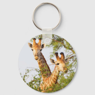 Porte-clés Giraffes Peeking Above Vegetation