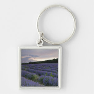 Porte-clés Gisement de lavande au coucher du soleil