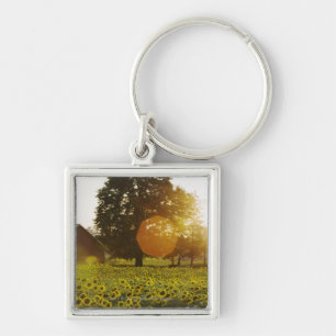 Porte-clés Gisement de tournesol au coucher du soleil avec