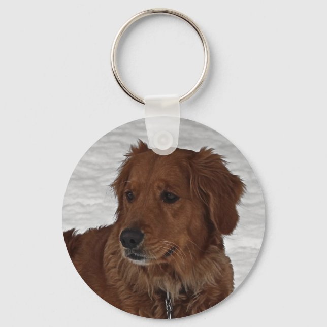 Porte-clés Golden Retriever (Recto)